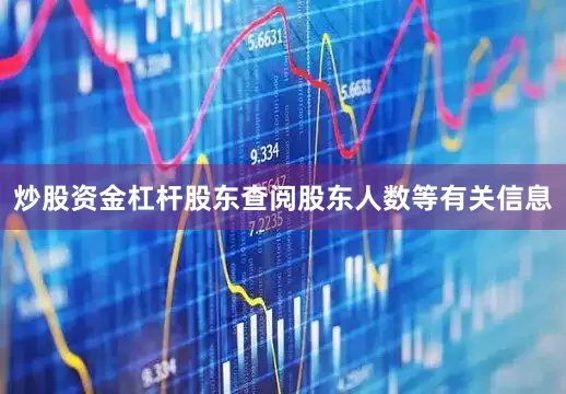 炒股资金杠杆股东查阅股东人数等有关信息