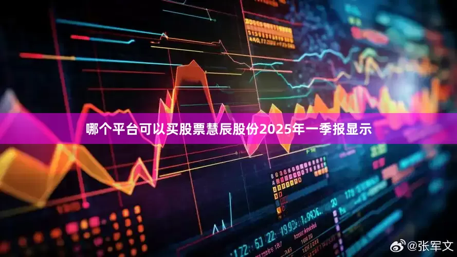 哪个平台可以买股票慧辰股份2025年一季报显示
