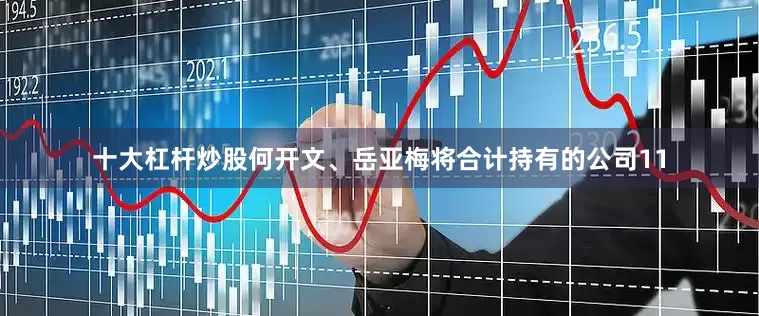 十大杠杆炒股何开文、岳亚梅将合计持有的公司11