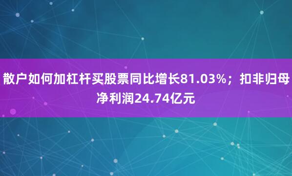 散户如何加杠杆买股票同比增长81.03%；扣非归母净利润24.74亿元