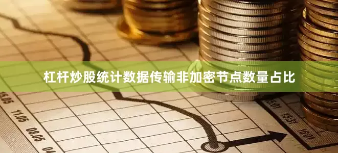 杠杆炒股统计数据传输非加密节点数量占比