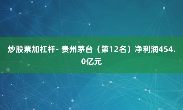 炒股票加杠杆- 贵州茅台（第12名）净利润454.0亿元