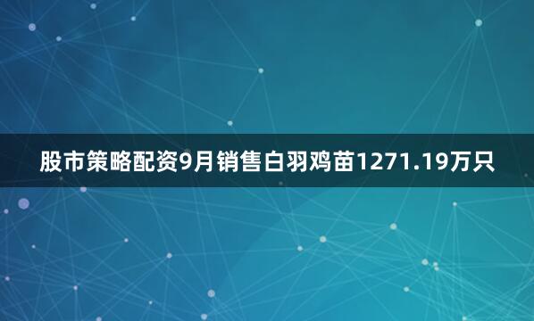 股市策略配资9月销售白羽鸡苗1271.19万只